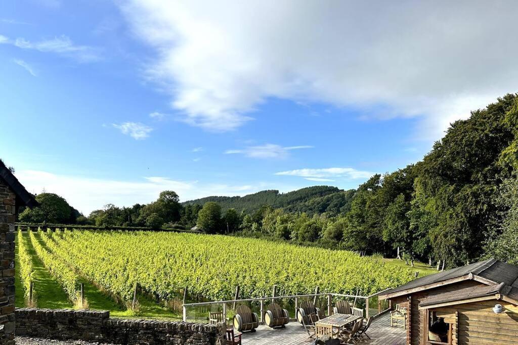 Vineyard Country Cottage Llanerch-Aeron Exterior foto